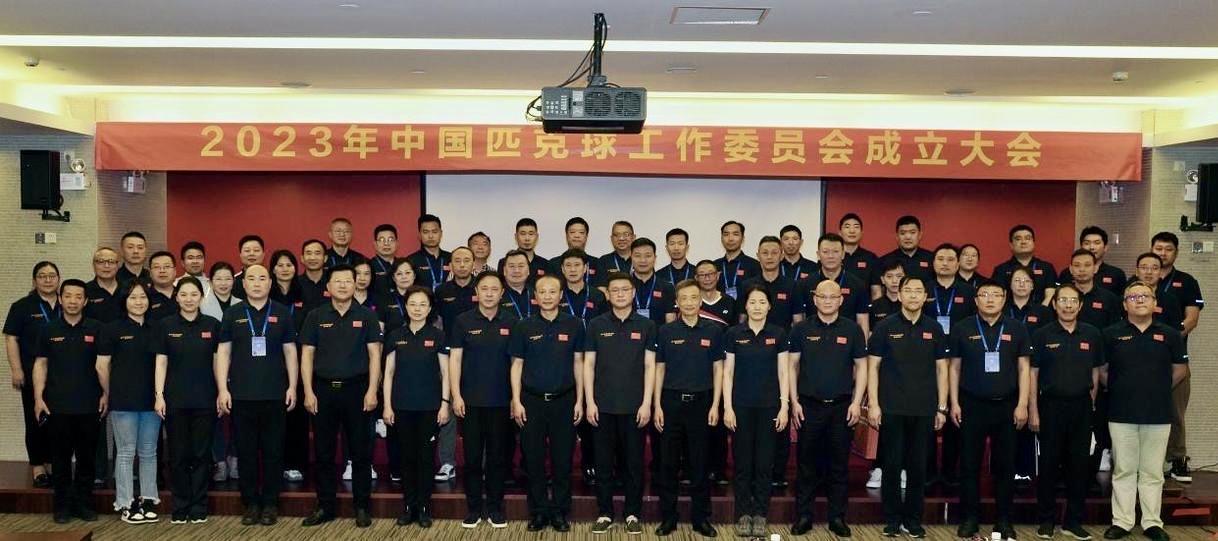 中国匹克球工作委员会